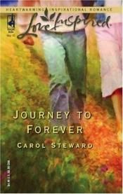 book cover of Journey To Forever by Carol Steward