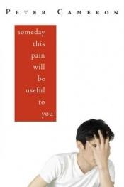 book cover of Someday This Pain Will Be Useful to You by Peter Cameron