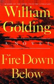 book cover of Fire down below by William Golding