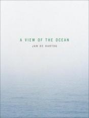 book cover of A view of the ocean by Jan de Hartog