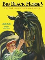 book cover of Big Black Horse (Picture Book) by Walter Farley