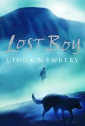 book cover of Lost Boy by Linda Newbery