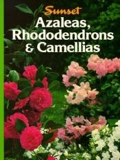 book cover of Azaleas, Rhododendrons, Camellias by Sunset