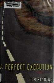 book cover of A perfect execution by Tim Binding