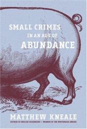 book cover of Small crimes in an age of abundance by Matthew Kneale