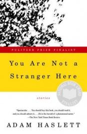 book cover of Je bent geen vreemde hier by Adam Haslett