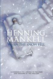 book cover of When the Snow Fell by Henning Mankell