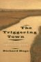 The Triggering Town : Lectures and Essays on Poetry and Writing