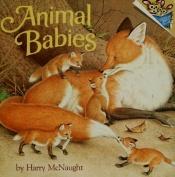 book cover of Animal Babies by Harry Mcnaught