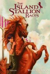 book cover of The Black Book 12: The Island Stallion Races by Walter Farley