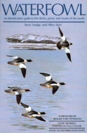 book cover of Waterfowl : an identification guide to the ducks, geese, and swans of the world by Steve Madge