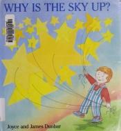 book cover of WHY IS SKY UP? CL by Joyce Dunbar