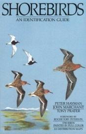 book cover of Shore Birds: Identification Guide to Waders of the World by Peter Hayman