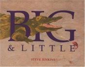 book cover of Big and Little by Steve Jenkins