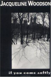 book cover of Wenn die Zeit stehen bleibt by Jacqueline Woodson