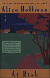 book cover of Wo bleiben Vögel im Regen by Alice Hoffman