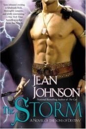 book cover of The storm by Jean Johnson