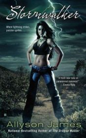 book cover of Stormwalker (Stormwalker Series, Book 1) by Allyson James
