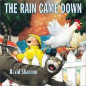 book cover of The rain came down by David Shannon