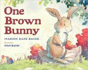 book cover of One Brown Bunny by Marion Dane Bauer