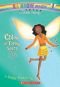 Chloe: The Topaz Fairy (Rainbow Magic: The Jewel Fairies Book #4)