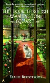 book cover of The Door through Washington Square by Elaine Bergstrom