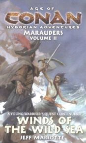 book cover of Winds of the Wild Sea (Age of Conan: Marauders, Volume II) by Jeff Mariotte