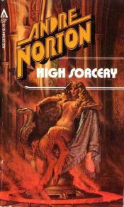 book cover of High Sorcery by Andre Norton