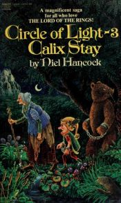 book cover of Calix Stay by Niel Hancock