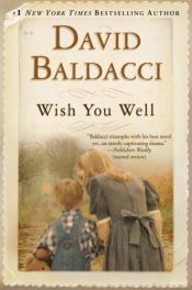 book cover of Wish You Well by David Baldacci