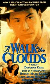 book cover of A Walk In The Clouds by Deborah Chiel