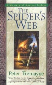 book cover of The spider's web : a mystery of ancient Ireland by Peter Tremayne