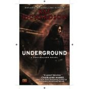 book cover of Underground Education by Kat Richardson