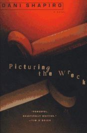 book cover of Picturing the Wreck-P351661 by Dani Shapiro