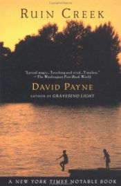 book cover of Ruin Creek by David Payne