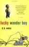Lucky Wander Boy A Novel