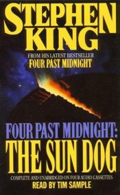 book cover of Saulės šuo by Stivenas Kingas