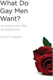 book cover of What Do Gay Men Want?: An Essay on Sex, Risk, and Subjectivity by David M. Halperin