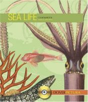 book cover of Sea Life by Dover