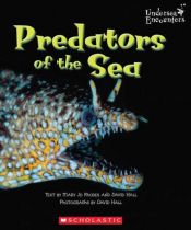 book cover of Predators of the Sea (Undersea Encounters) by Mary Jo Rhodes