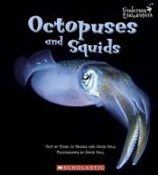 book cover of Octopuses and Squids (Undersea Encounters) by Mary Jo Rhodes