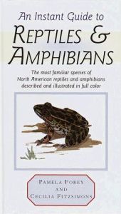 book cover of Instant guide to reptiles and amphibians by Pamela Forey