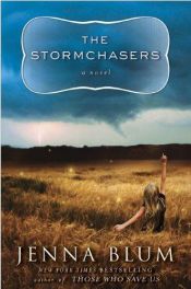 book cover of The stormchasers by Jenna Blum