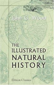 book cover of Woods Illustrated Natural History by M.A. Rev. J. G. Wood