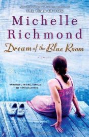 book cover of Dream of the blue room by Michelle Richmond