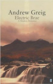 book cover of Electric Brae by Andrew Greig