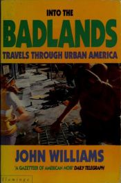 book cover of Into the badlands by John Williams