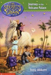book cover of Journey to the Volcano Palace (Secrets of Droon, 2) by Tony Abbott