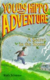 book cover of The Secret in the Storm (Young Hippo Adventure) by Ruth Silvestre