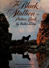 book cover of The Black Stallion Picture Book by Walter Farley